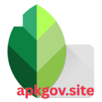 Snapseed APK